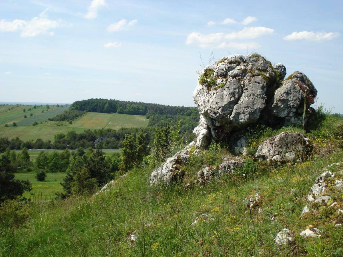 Villa Jura Pokoje Goscinne Zarki Esterno foto
