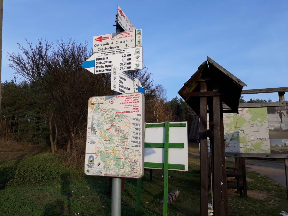 Villa Jura Pokoje Goscinne Zarki Esterno foto