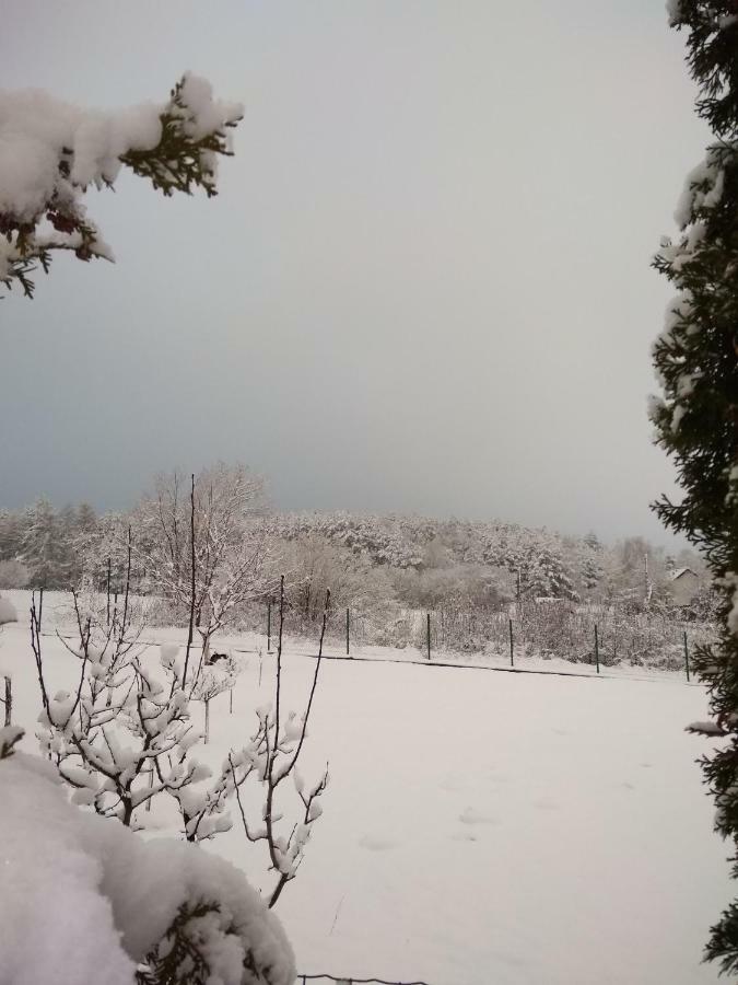Villa Jura Pokoje Goscinne Zarki Esterno foto